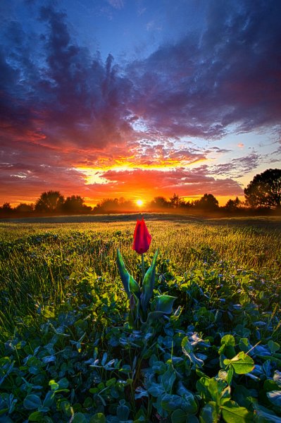 природа