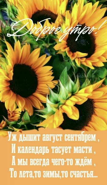 Доброе утро!