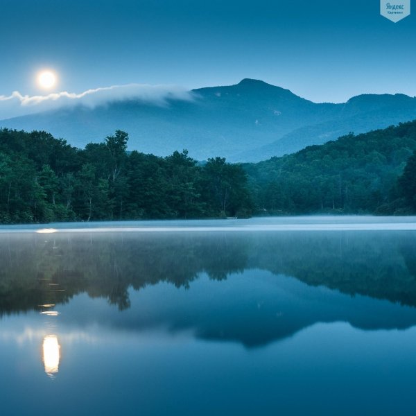 Yandex-Images-2015-07-01