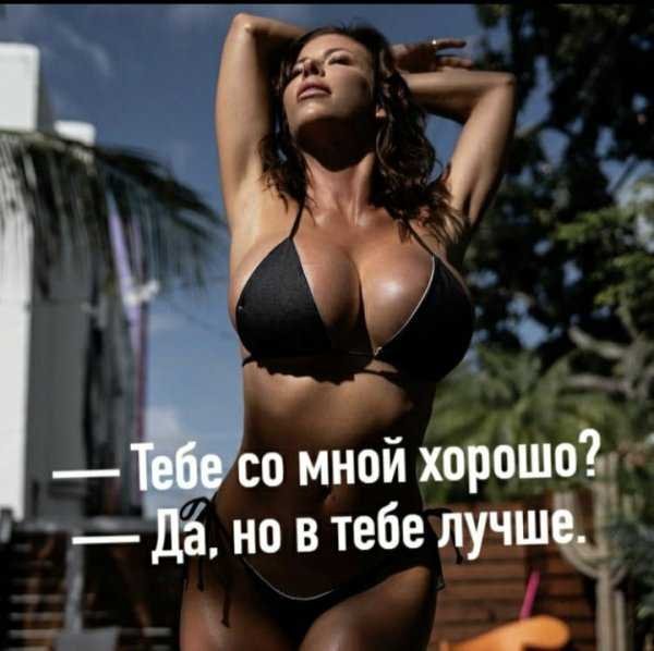 p.600.600.0