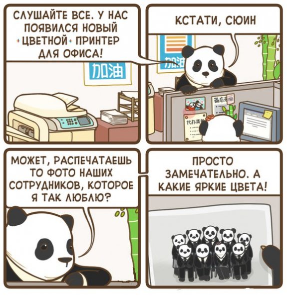 К.Красота