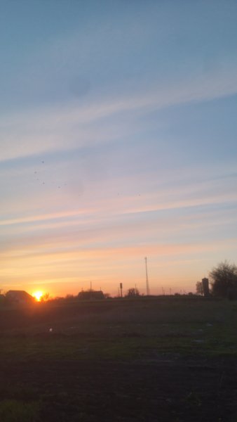 picture_411807044