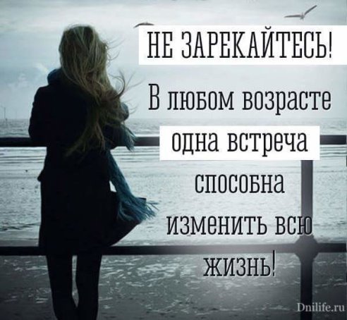 image-381