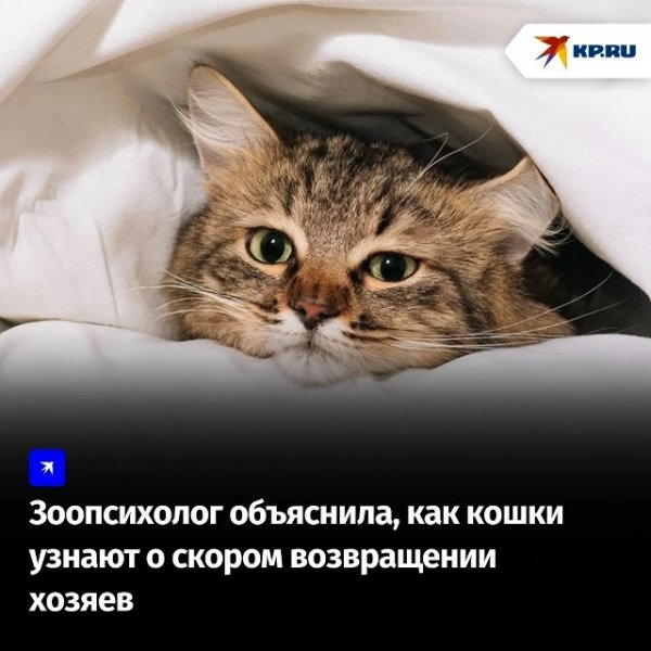 TemUOebjaj0XeuPZswZhnQ-fPNqw16-86W0kuZu47 gbWrAGjbYKJefua3-N