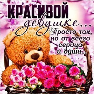 picture_408365003