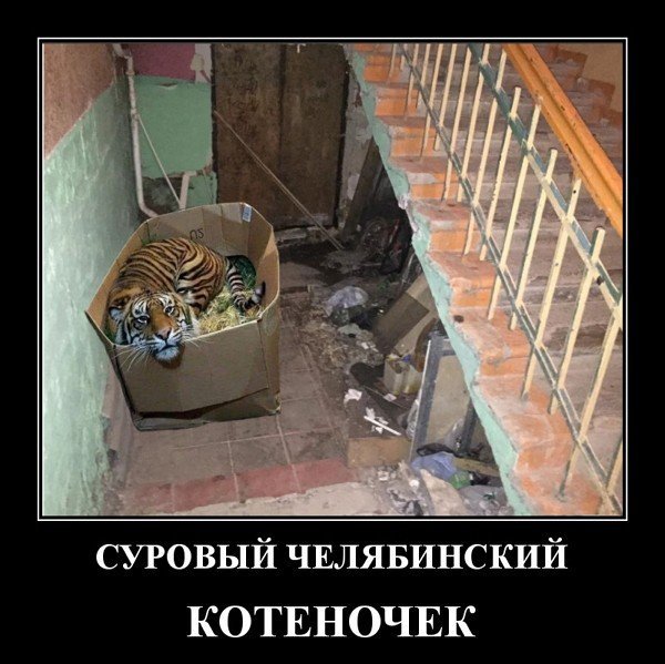 Берегите животных!)))