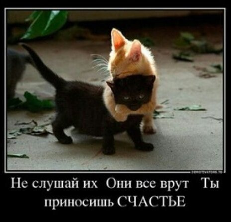 0c80e06d22124cc97fb3a03cb127ee62-1