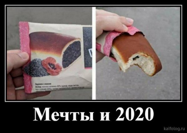 picture_379797300