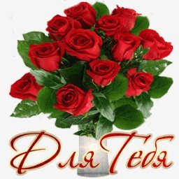 розы