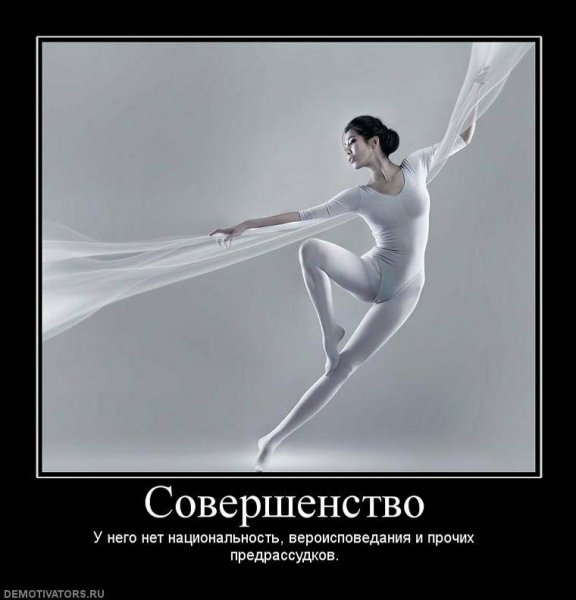 Demotivator (105)
