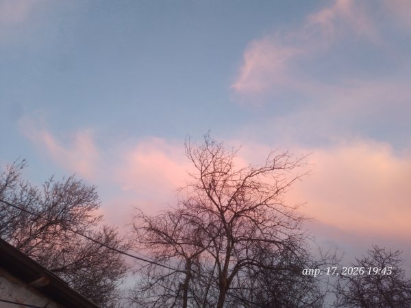 picture_411480306