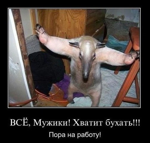 pics