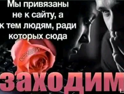 picture_201719918
