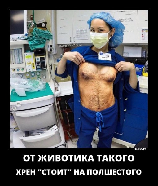 Животик