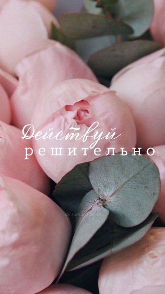 fc992a641474835536611962e98bd