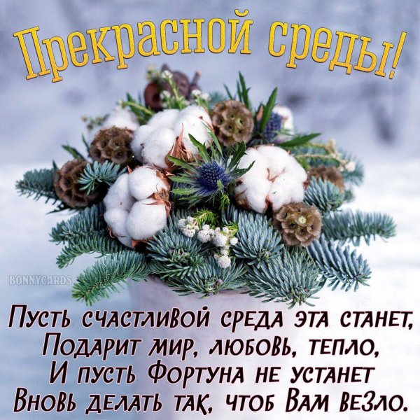 IMG-20210127-WA0000
