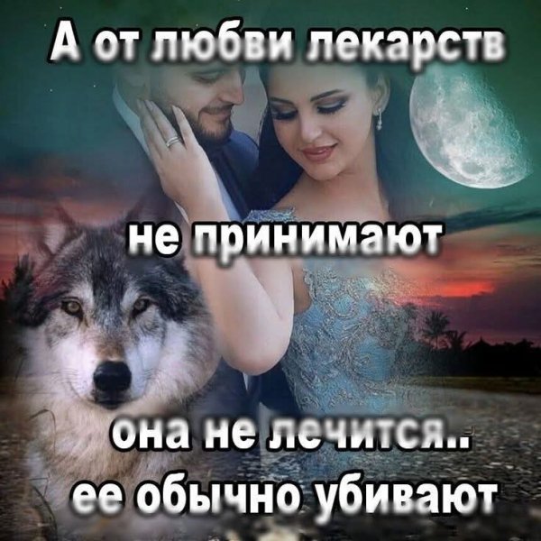 picture_409952953