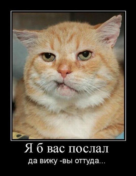 Да! ))