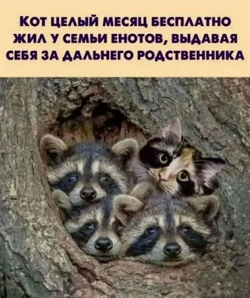 Я ваша тетя )