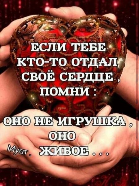 picture_404985953