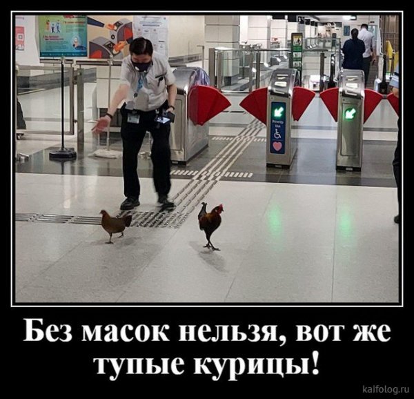 picture_379797240