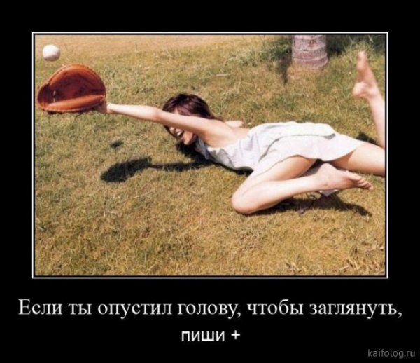 picture_378856742
