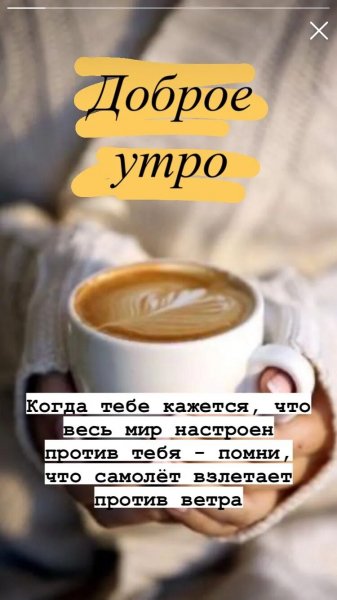 Друг мой!
