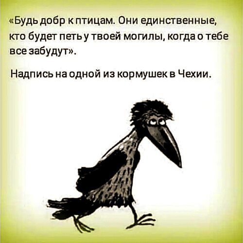 x500