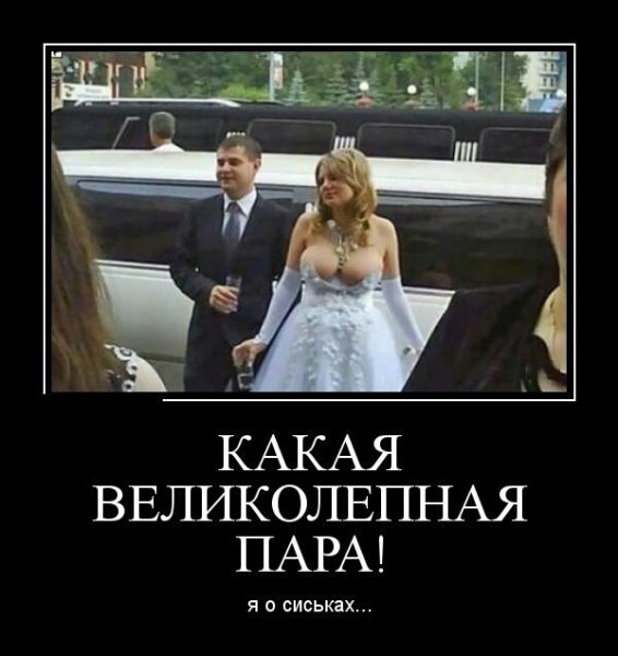 Великолепная пара