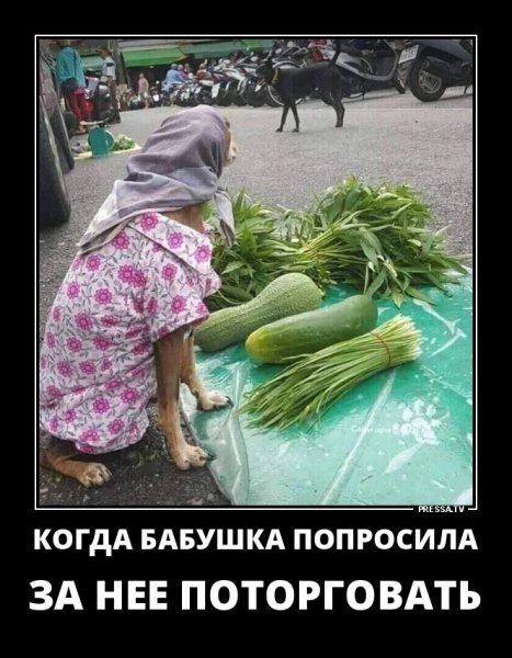 Когда бабушка попросила