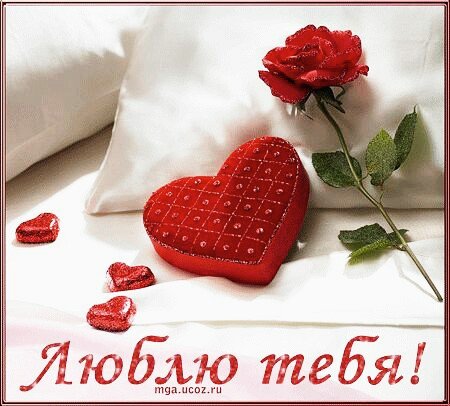 любовь 224800
