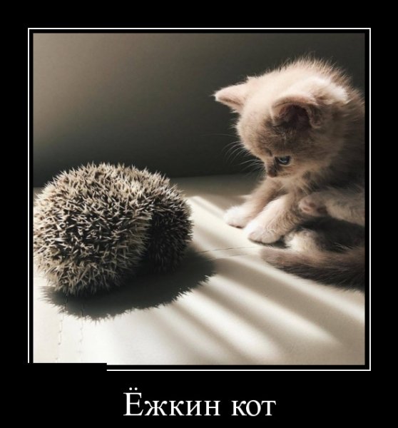 Выражение