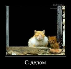 pics