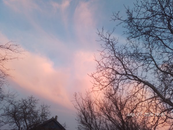 picture_411480334
