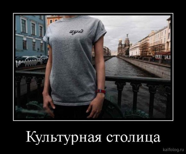 picture_378907623