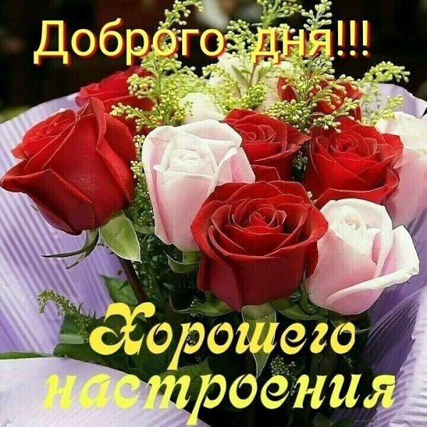 IMG 20220313 151001