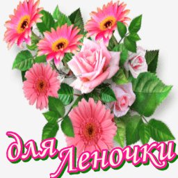getImage(637)