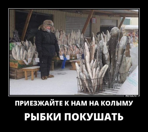 Рыбки покушать