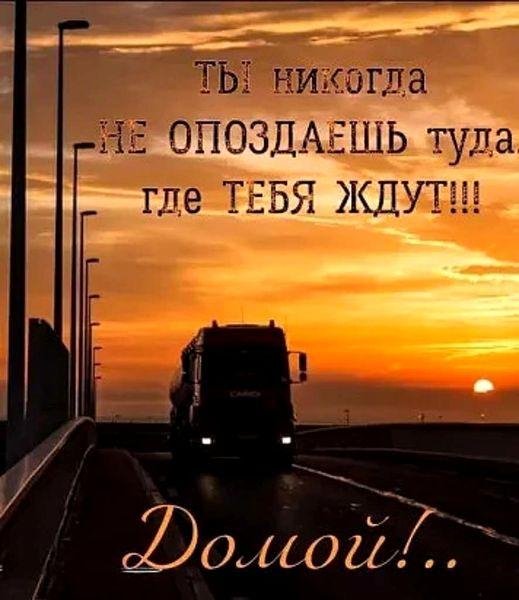picture_298494632