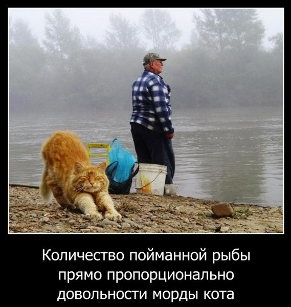 Так! ))