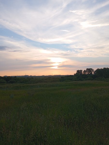 picture_414629201