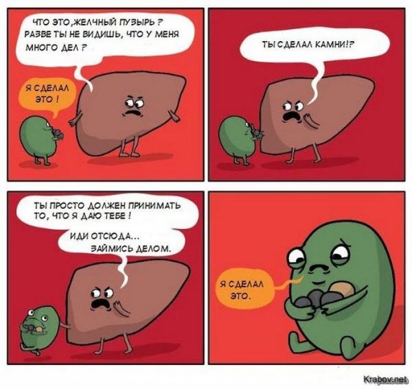picture_354264524