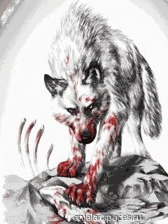 Volk ---