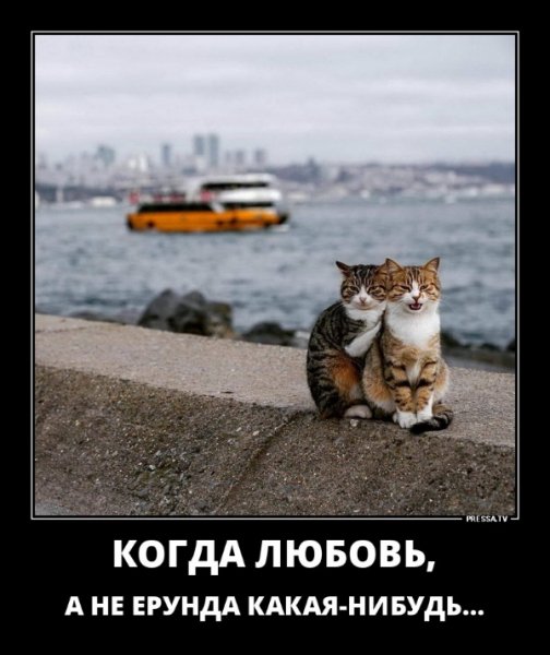 picture_237279712