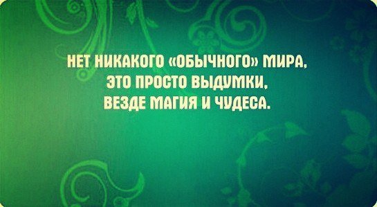 llQdYb8fPLs