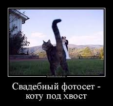 pics