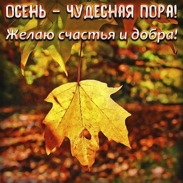 amyrskay 20200901 7