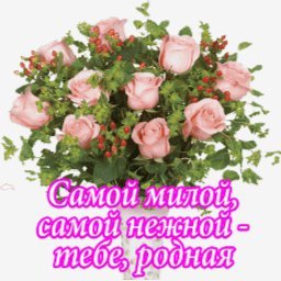 розы
