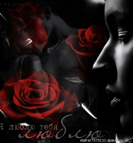 love 225509