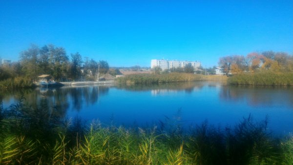 Осень на ставке
